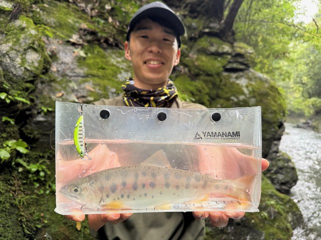 ダイワ トラウトロッド ワイズストリーム 410L-3・Q(3ピース)(410L-3