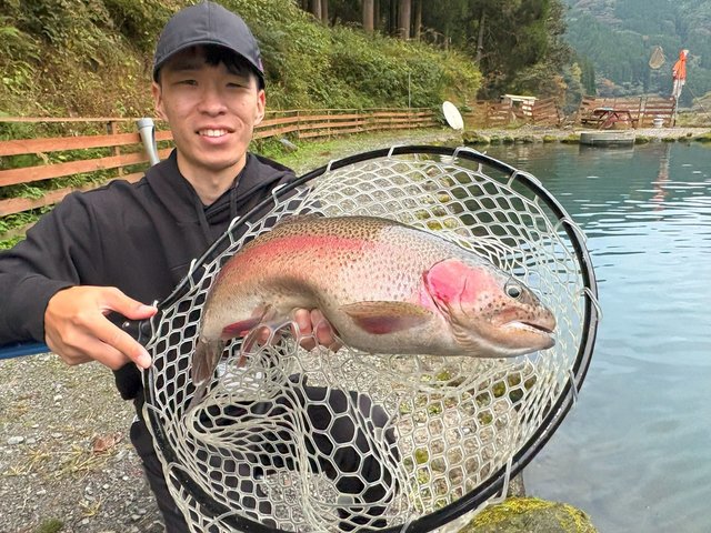 ダイワ トラウトロッド ワイズストリーム 410L-3・Q(3ピース)(410L-3