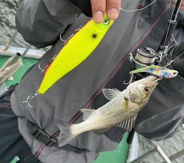 ダイワ ベイトリール タトゥーラ TW 300XHL 2021年モデル (左巻)【即日