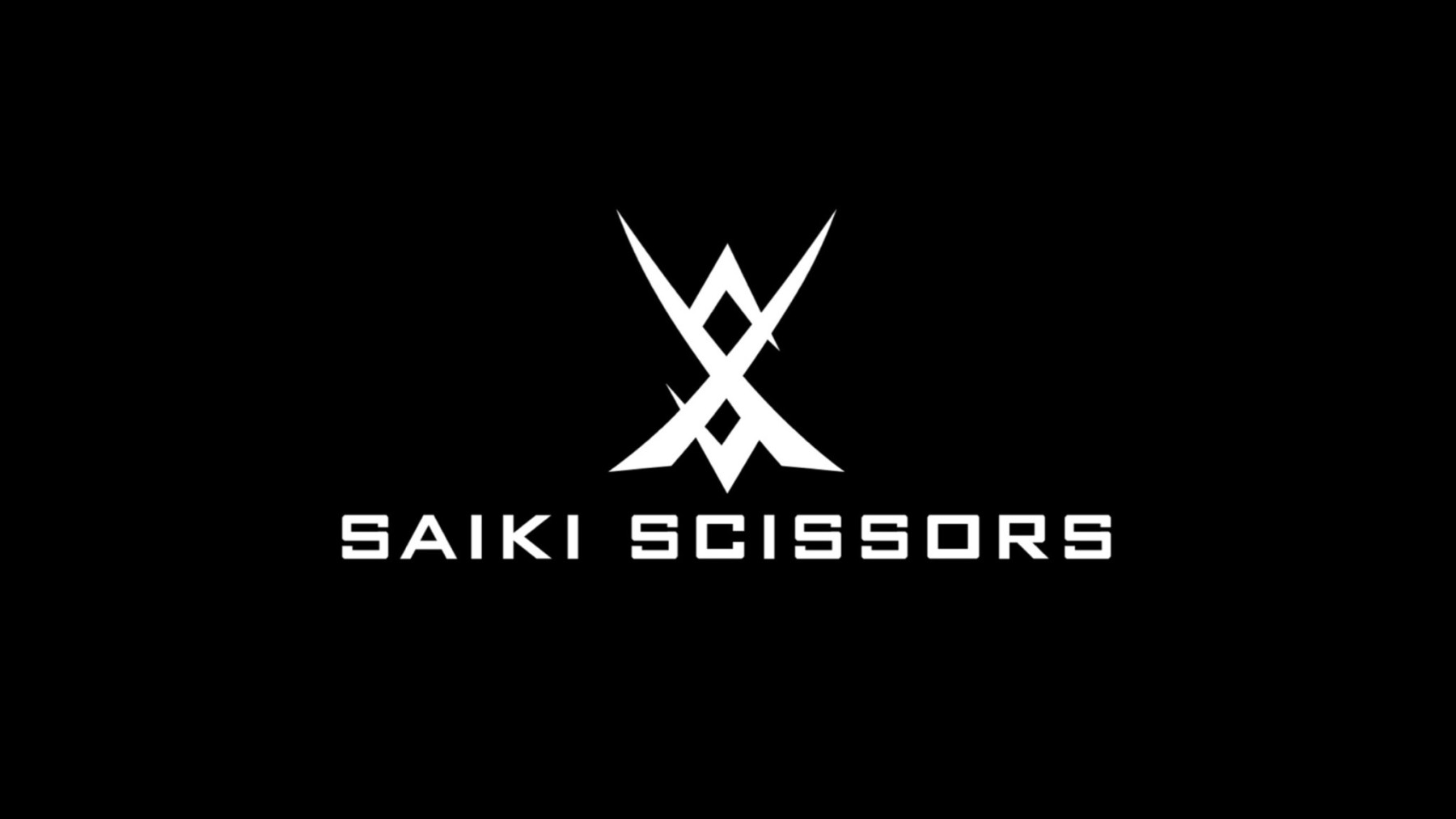 WZX5.75SN - 髪を傷めない美容ハサミ｜サイキシザーズ