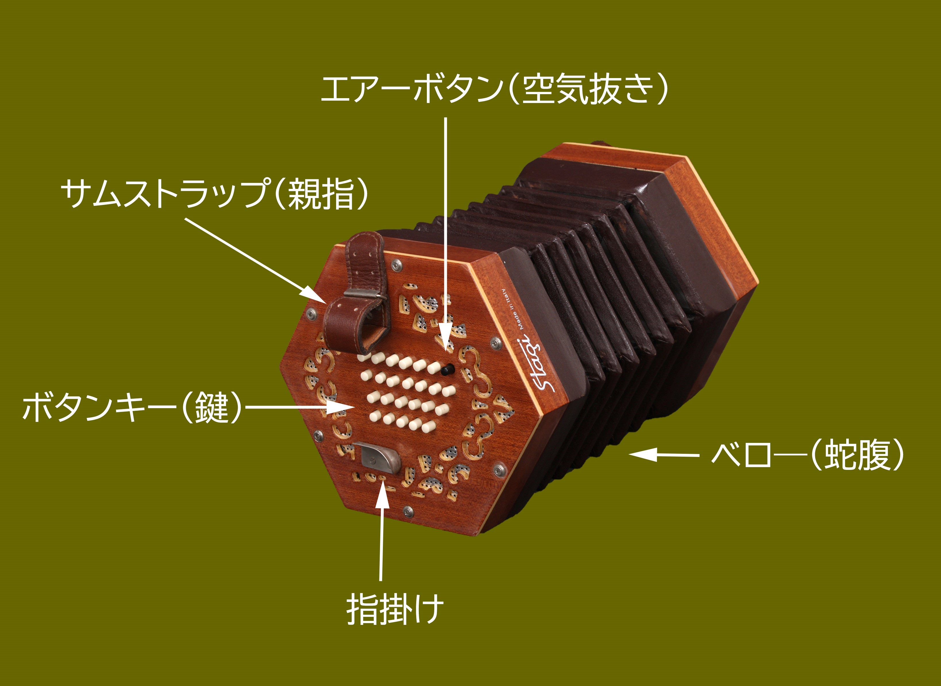 楽器紹介 - 日本イングリッシュ・コンサーティーナ協会