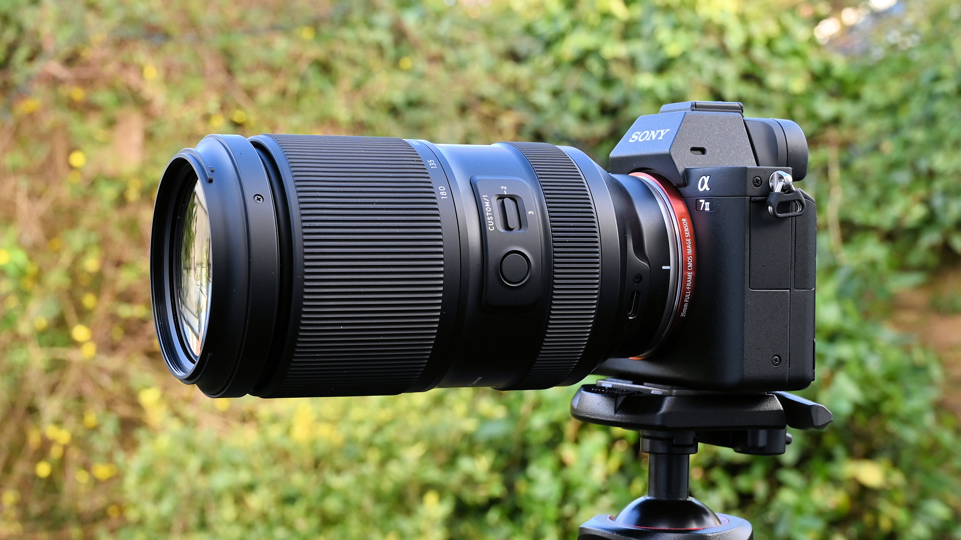 Tamron SP 70-300mm f/4-5.6 Di VC USD review | Digital Camera World