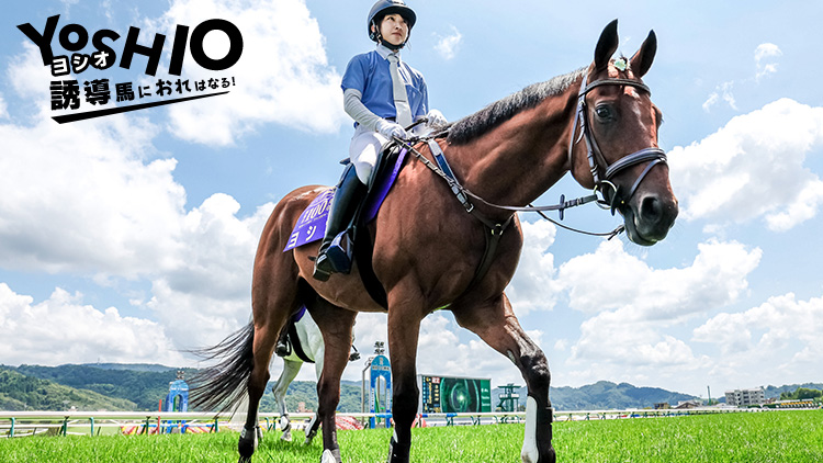 ヨシオ（福島競馬場誘導馬）デビュー戦現地馬券