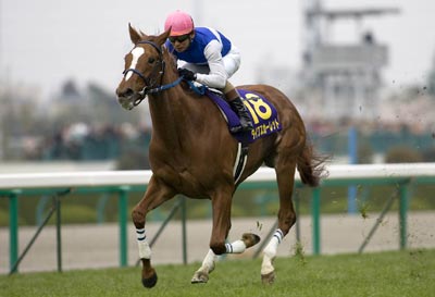 桜花賞、ダイワスカーレットがウオッカを封じる | 競馬ニュース - netkeiba