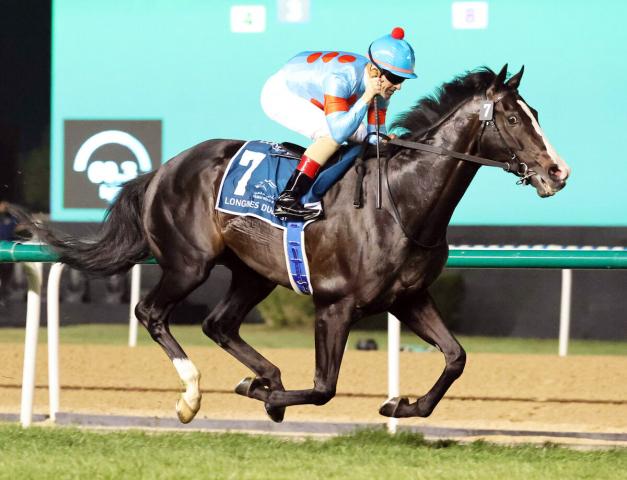 ドバイ・シーマクラシック完勝のイクイノックスが宝塚記念に参戦 帰国