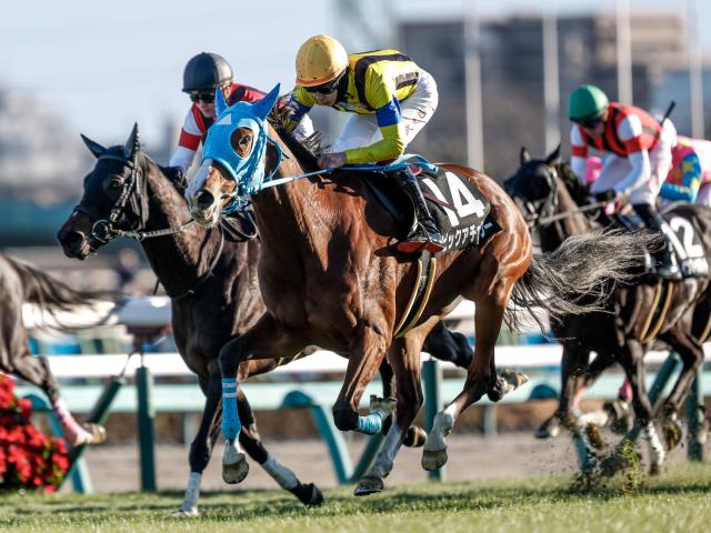 オルフェーヴルCレース後コメント】ピックアチェリー横山武史騎手ら