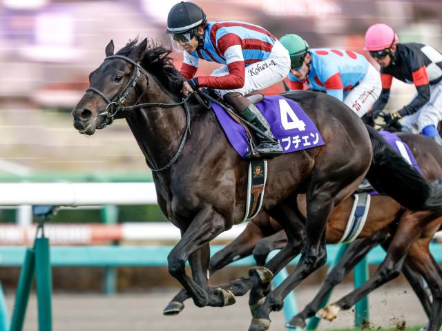 ホープフルSレース後コメント】ロブチェン松山弘平騎手ら | 競馬