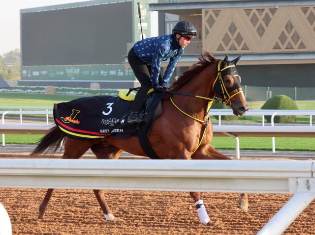 シンガポール航空国際C、コスモバルクが優勝 | 競馬ニュース - netkeiba