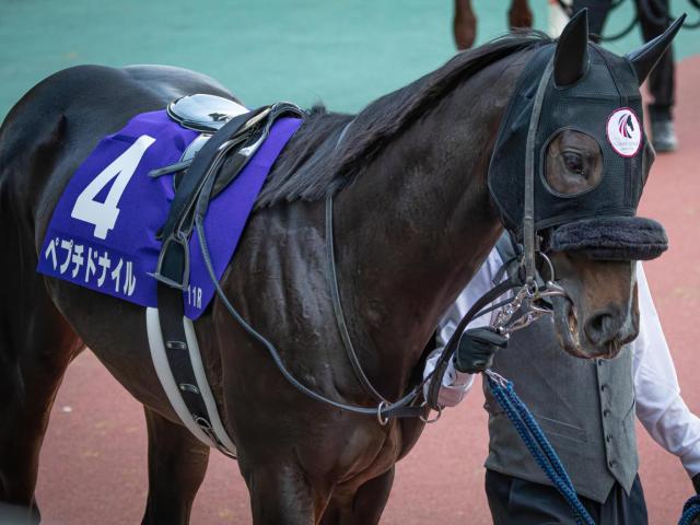 NHKマイルC、ジョーカプチーノVで238万馬券！ | 競馬ニュース - netkeiba