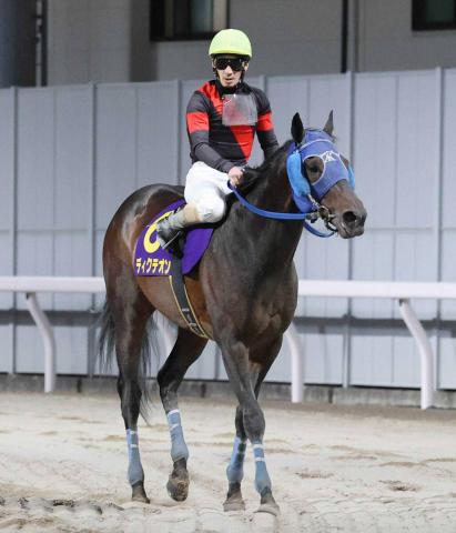 ブエナビスタが圧勝で史上15頭目の牝馬V/天皇賞・秋 | 競馬ニュース