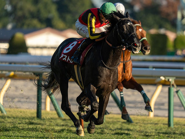 霜降り明星・粗品はショウナンガルフが本命 ホープフルSは3連単＆3連