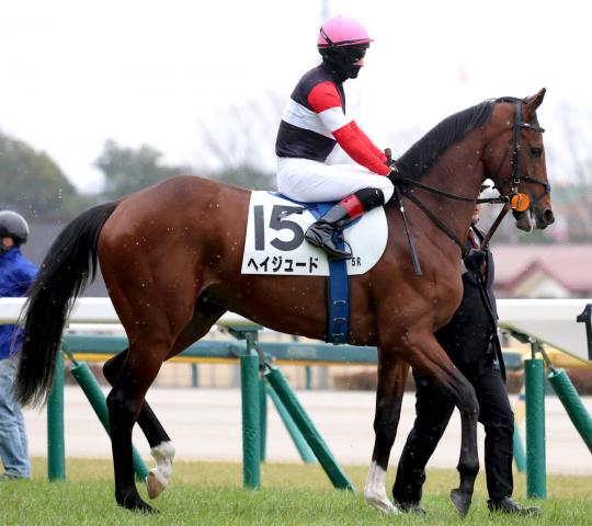 スキル＆クロワ・キタサンブラック継承ヒストリー Long-awaited] A new