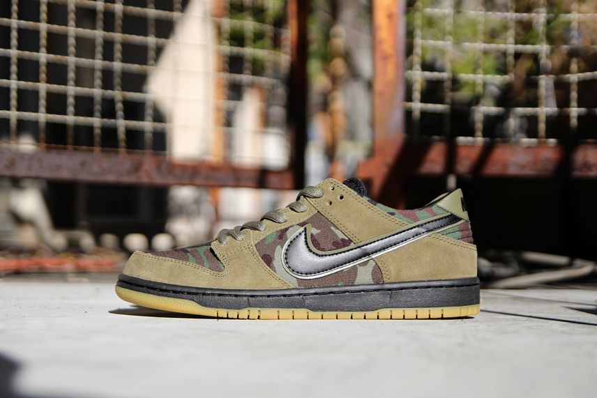 Nike SB Dunk Low Pro 