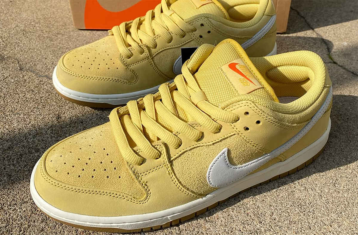 5/3発売｜Nike SB Dunk Low Pro ISO 