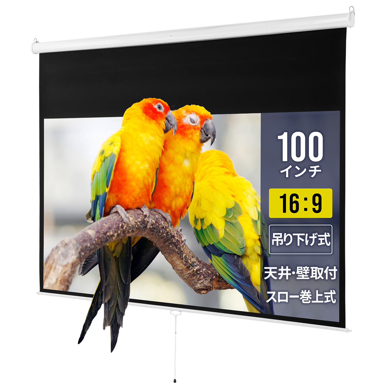 サンワダイレクト本店 サンワサプライ【オフィス・PC周辺通販】