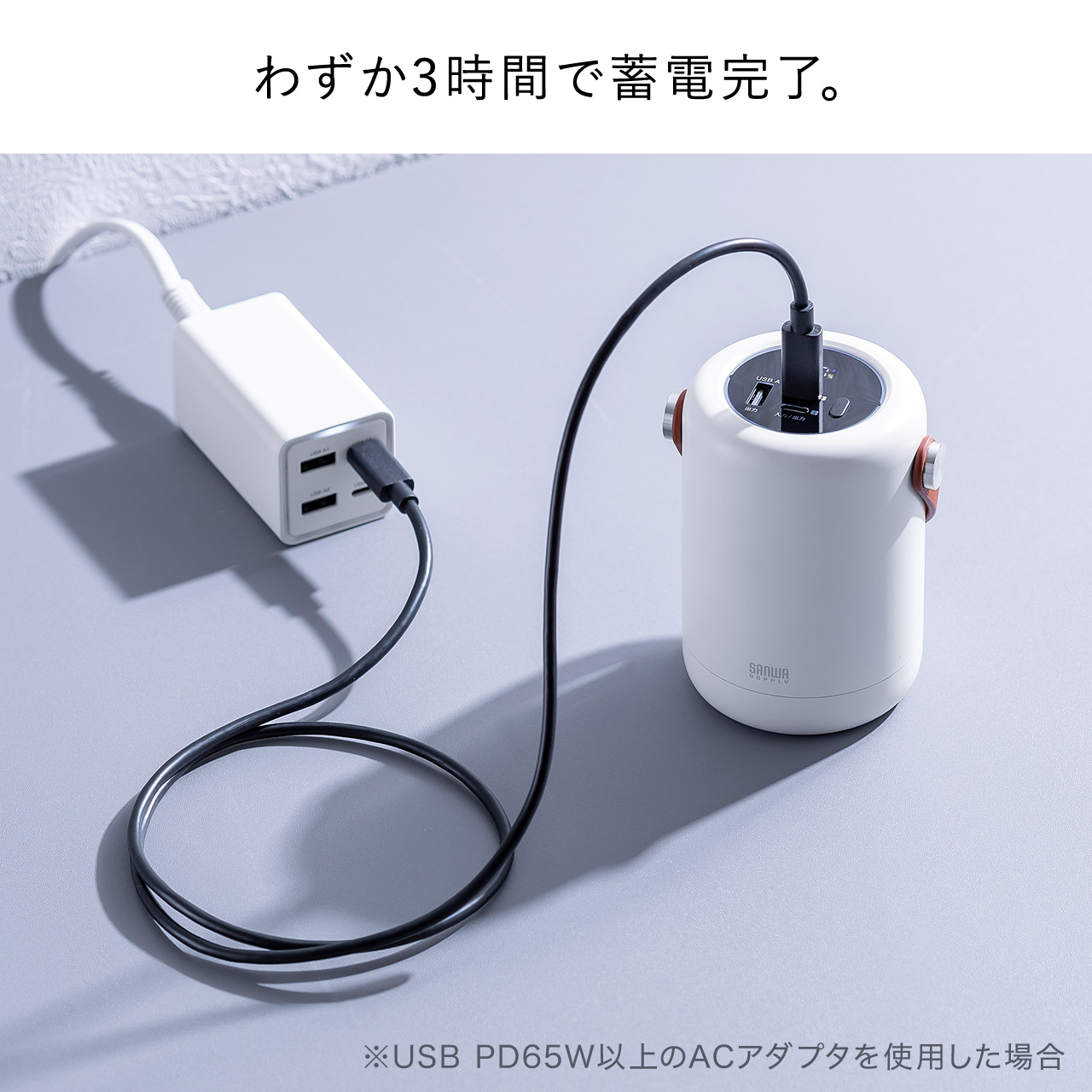 サンワダイレクト本店 サンワサプライ【オフィス・PC周辺通販】