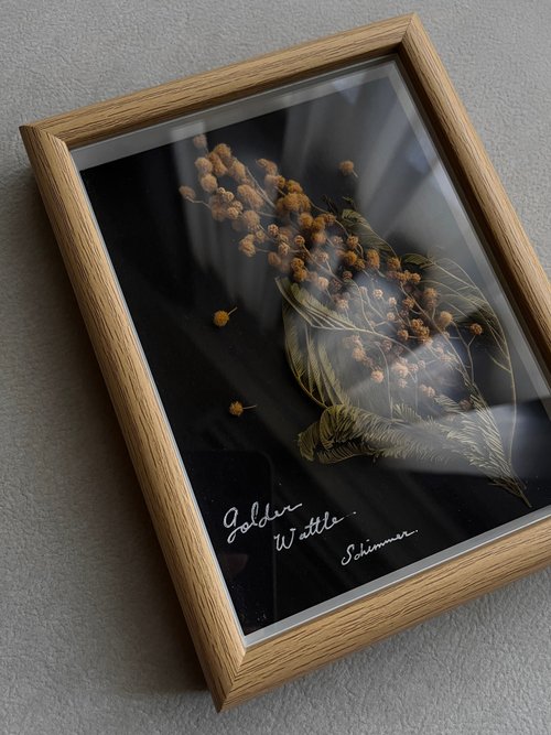 台湾 春単品植物イラストゴールド∣ドライフラワー/植物標本フレーム