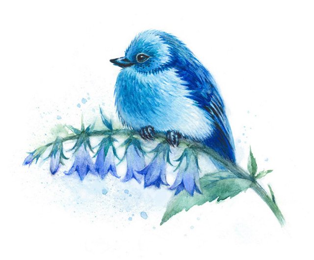 ロシア 青い鳥の水彩画のプリント TrebisStudio - Pinkoi