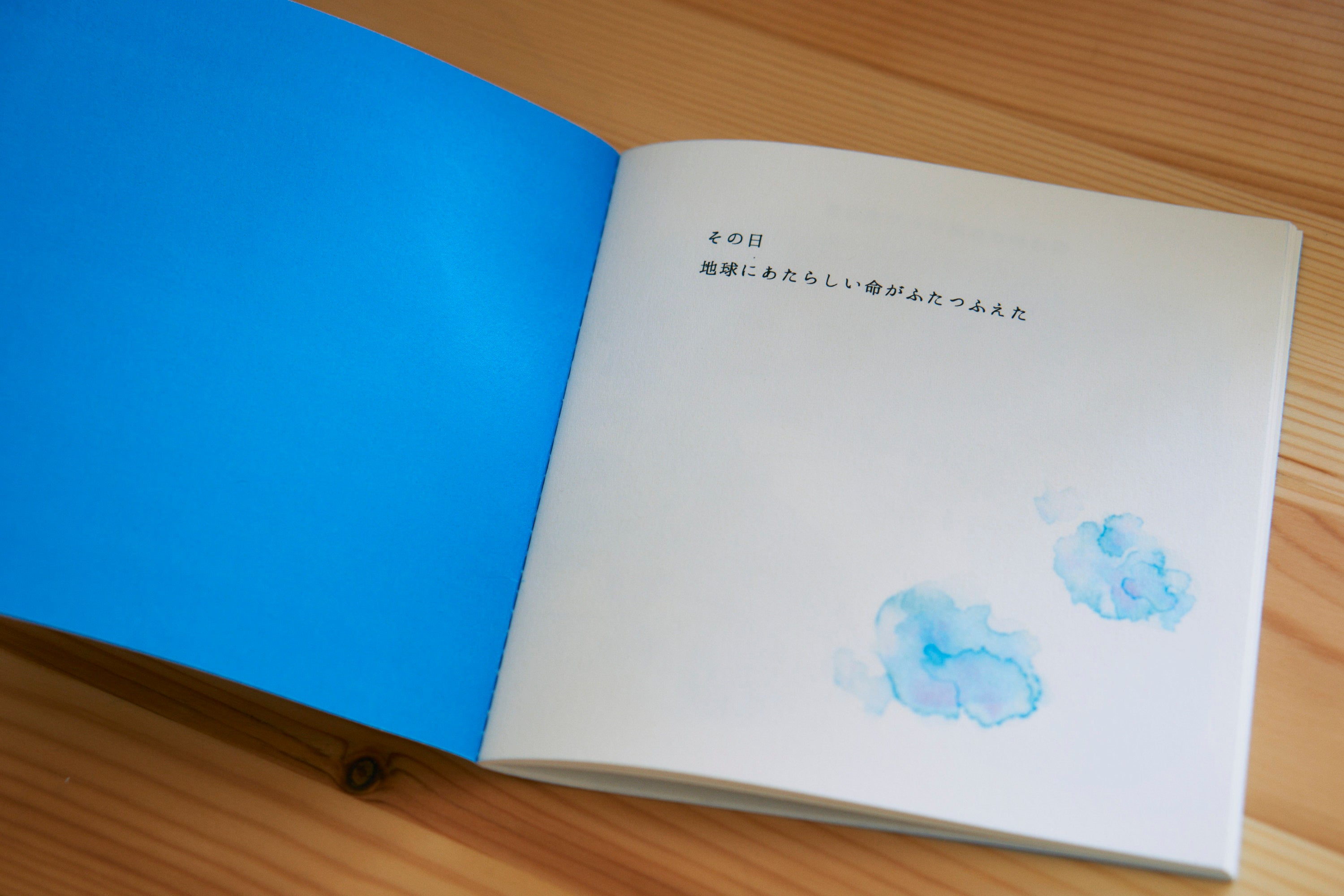 しろさめ | 絵本ZINE『僕が君だったころ』 – CAT'S FOREHEAD