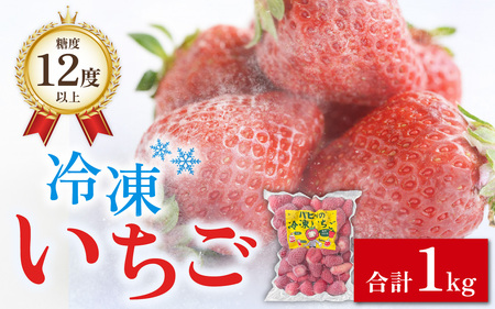 いちご農園のブランド苺【リッチゴ】(冷凍いちご×1kg) | 福井県高浜町