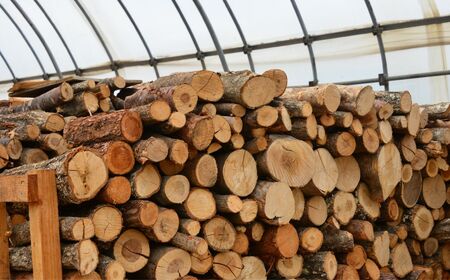 完全乾燥薪 1立米(軽トラック1台分) 広葉樹 もしつけ付き(1個) 即使用