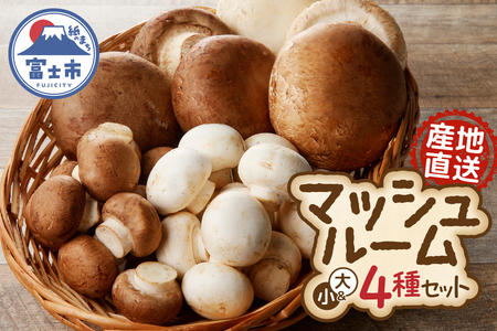 長谷川農産の美味しいマッシュルームセット 無農薬・無漂白栽培