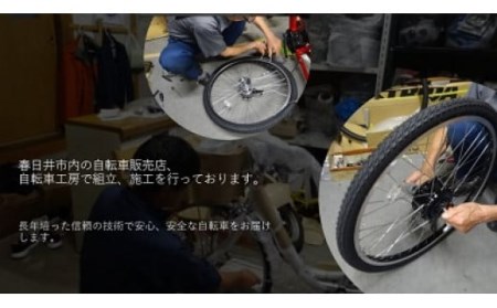 BAGGIO 防災対応20型6スピードノンパンク折りたたみ自転車 色