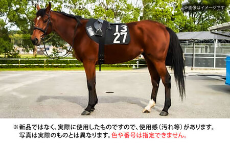 競走馬ゼッケン(プラダリア号) 競走馬ゼッケン(プラダリア号)