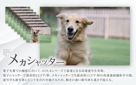 Canon EOS R10 ボディのみ 1年保証【長崎キヤノン】[MA15] キャノン