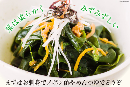 三陸産 おさしみわかめ 300g わかめ [ムラカミ 宮城県 気仙沼市