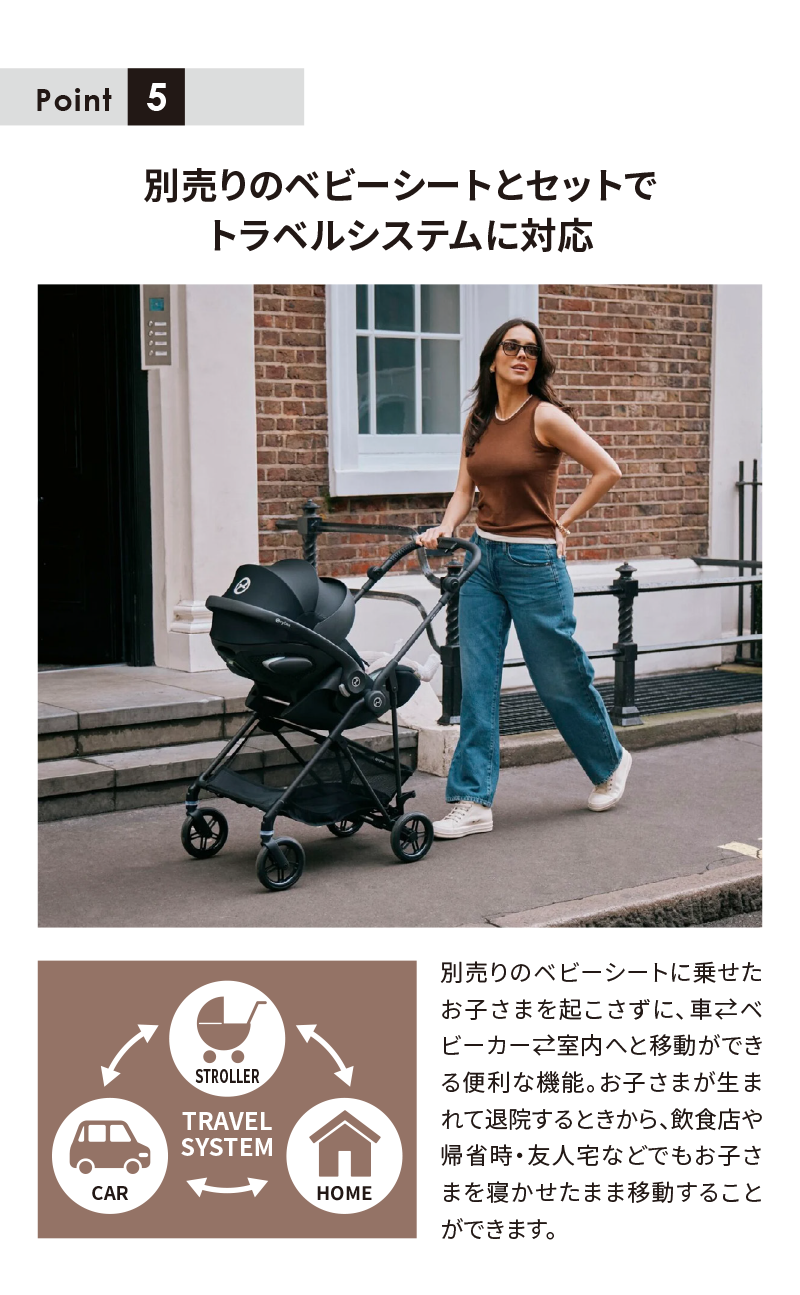 サイベックス メリオカーボン ソルテブラック、ソルテベーシュ