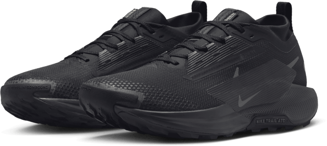 NIKE公式】ナイキ ペガサス トレイル 5 GORE-TEX メンズ 防水 トレイル