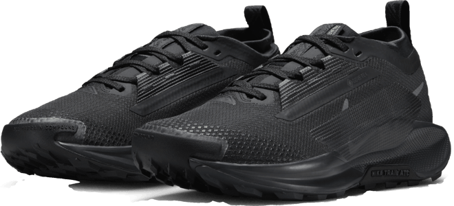 NIKE公式】ナイキ ペガサス トレイル 5 GORE-TEX ウィメンズ 防水