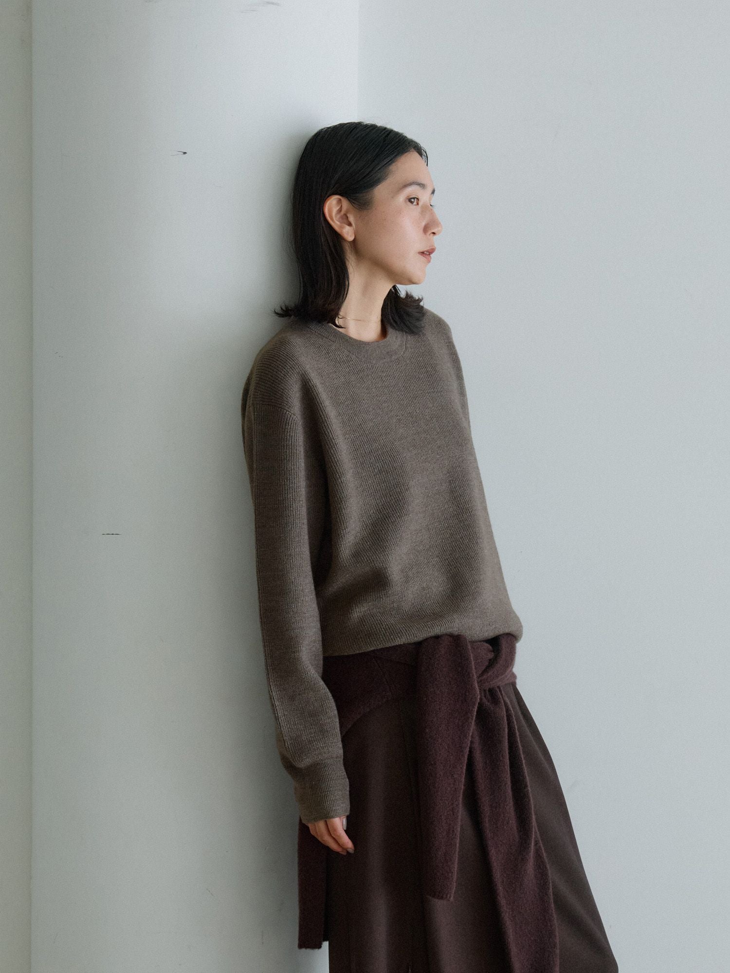 crewre online store / カシミアブレンドメリノウールニット