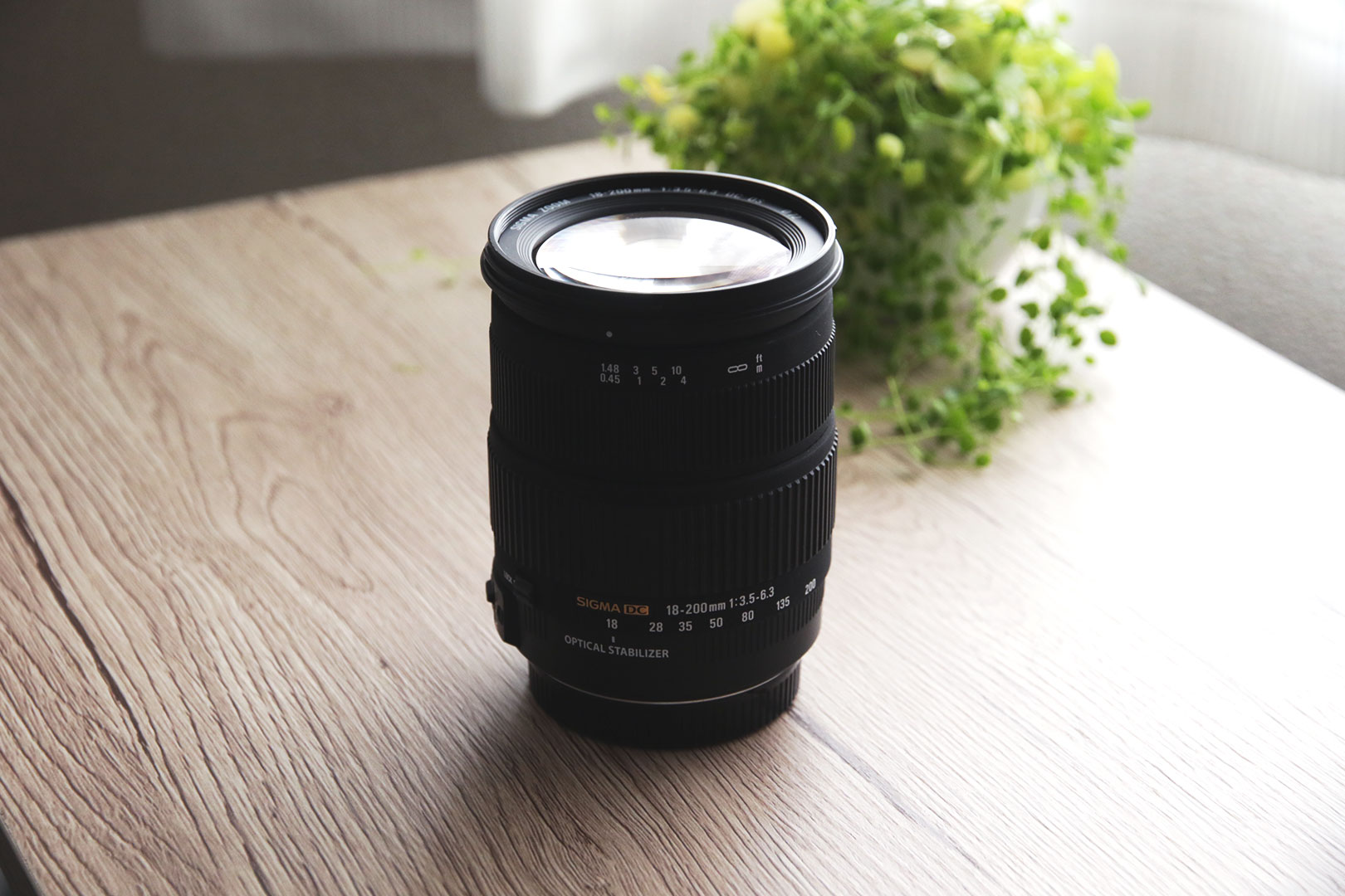 おしゃれな写真が撮れるレンズ】SIGMA18-200mmズームレンズはアートな