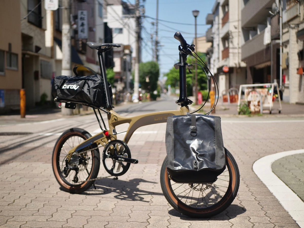 IMG_0508_1200x.jpg?v=1715935881