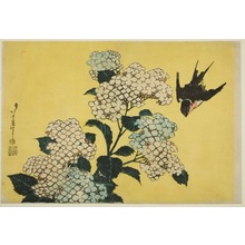 葛飾北斎による浮世絵「（紫陽花）」