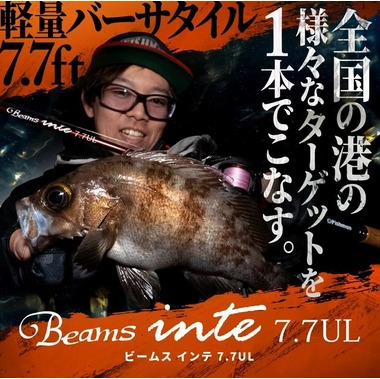 Fishman（フィッシュマン）Beams inte7.7UL（ビームスインテ7.7UL