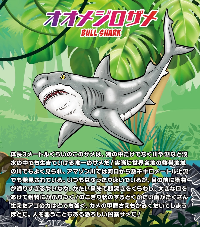 ジャングル＆Co.（アンドコ） | デアゴスティーニ公式