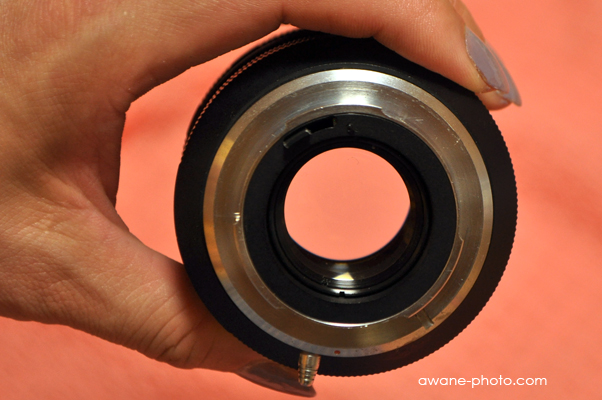 謎のマミヤセコール～撮影日記