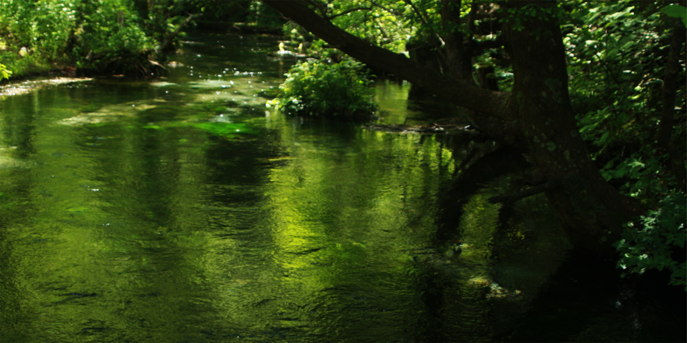 ダイアログ・イン・ザ・ダーク「内なる美、ととのう暗闇。」