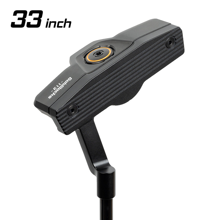 MODEL 113 – Goldilocks DirectStore