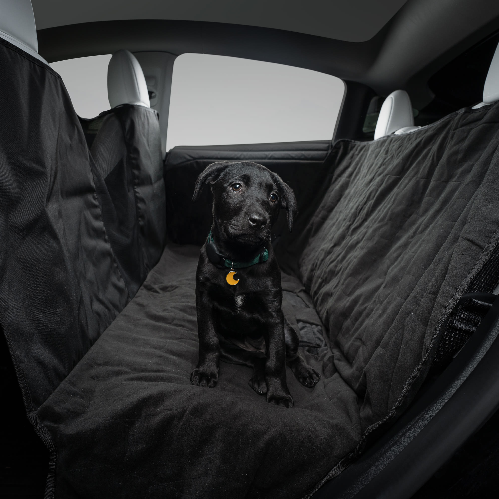 在庫あり TESLA 純正 Model S/3/Y ペットシートカバー モデルS/モデル3