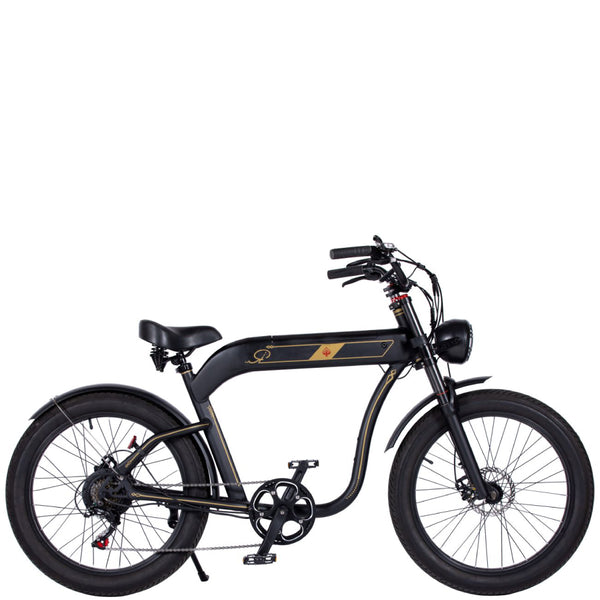 電動自転車／ロカフレーム バサラ【BASARA】e-bike UENO｜バイク王