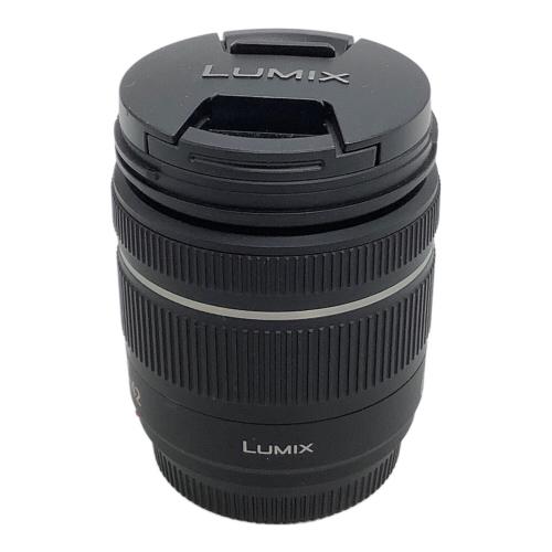 Panasonic (パナソニック) ミラーレス一眼カメラ DMC-GX1 LUMIX