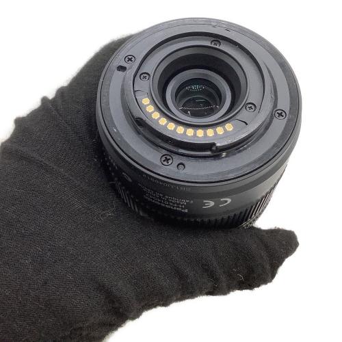 Panasonic (パナソニック) ミラーレス一眼カメラ DMC-GX1 LUMIX