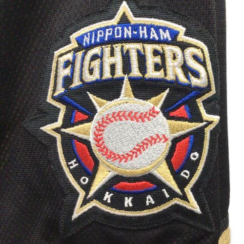 北海道日本ハムファイターズ (ホッカイドウニッポンハムファイターズ