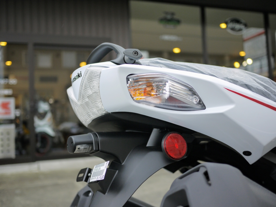 Kawasaki Ninja ZX-14R High Grade Final Edition☆ | EDOYA