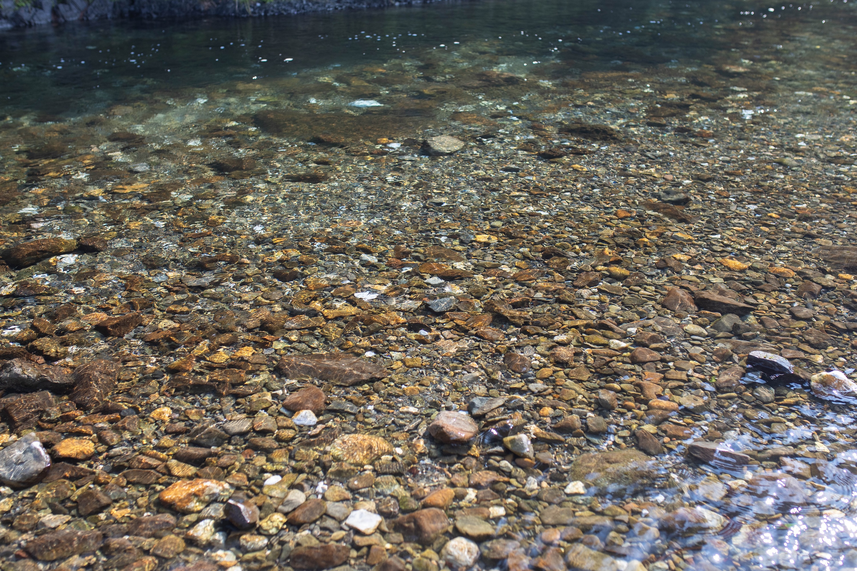 かわうそ自然公園｜川と芝生でのんびり遊べる津野町の憩いスポット
