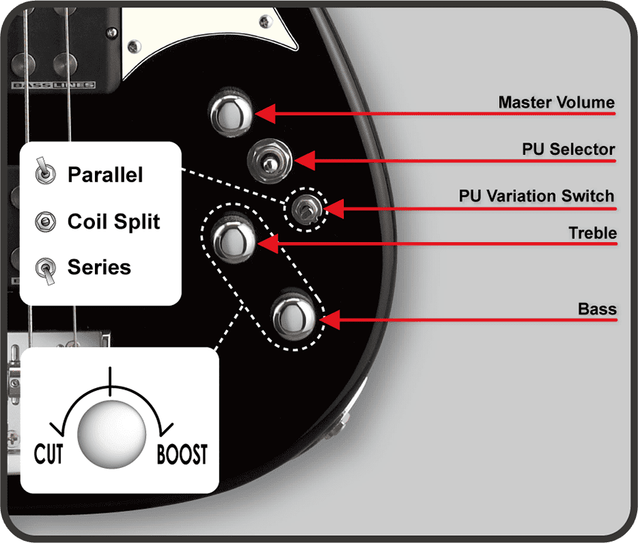 E-LW/M | ESP GUITARS